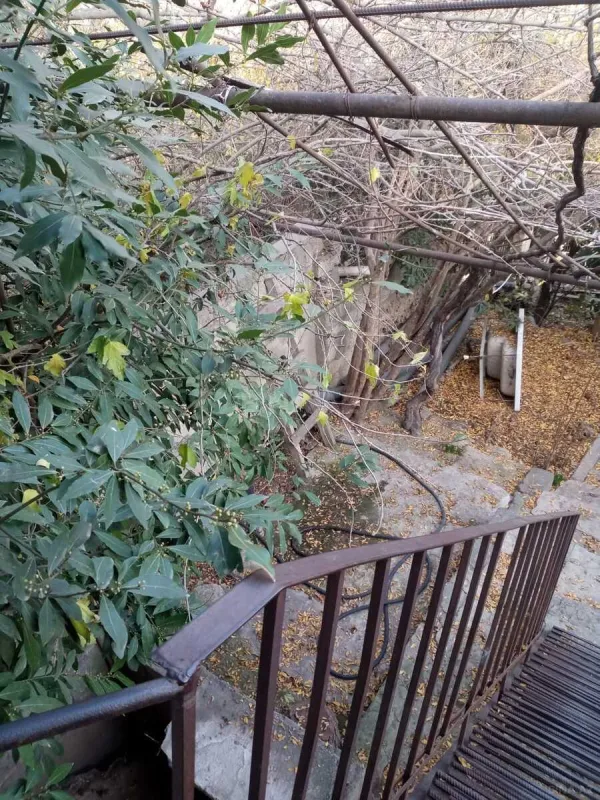 Kirayə verilir 2 otaqlı həyət evi 55 m²