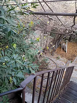 Kirayə verilir 2 otaqlı həyət evi 55 m²