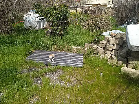 Satılır torpaq sahəsi 5 m²