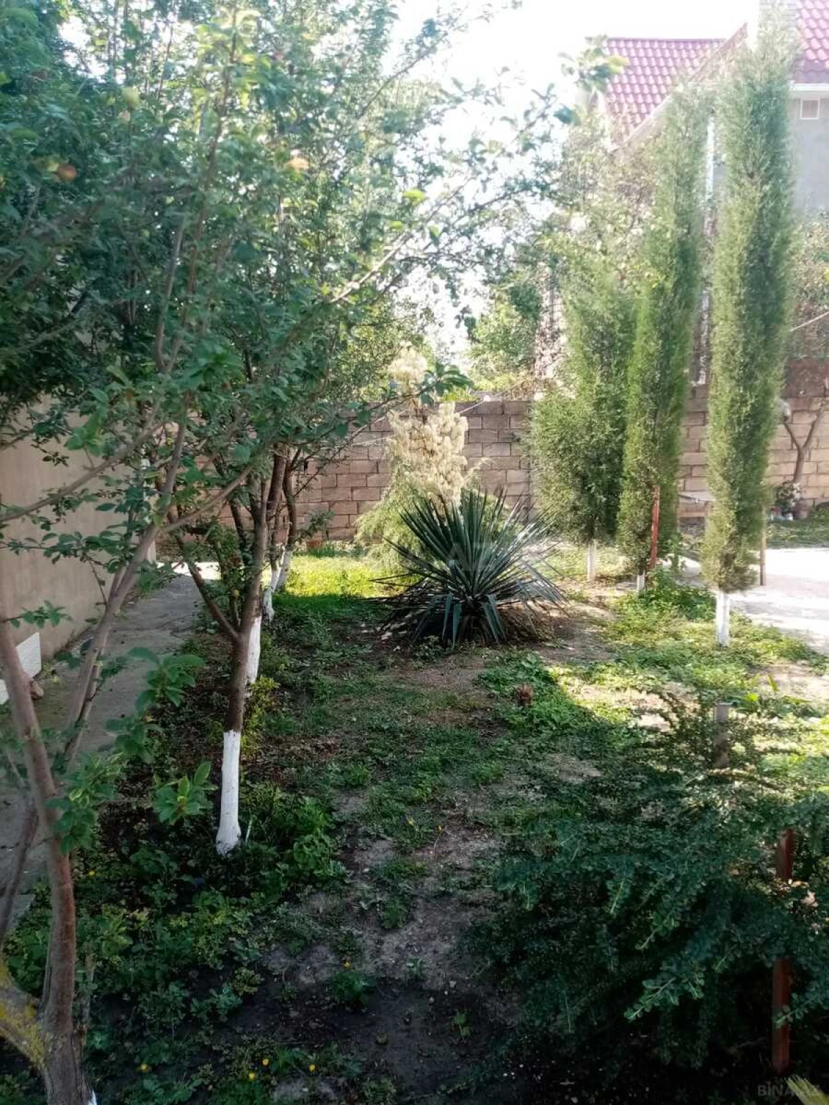 Satılır obyekt 300 m²