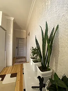 Satılır 3 otaqlı həyət evi 80 m²