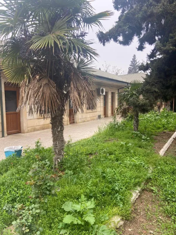 Satılır obyekt 2000 m²