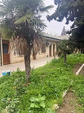 Satılır obyekt 2000 m²