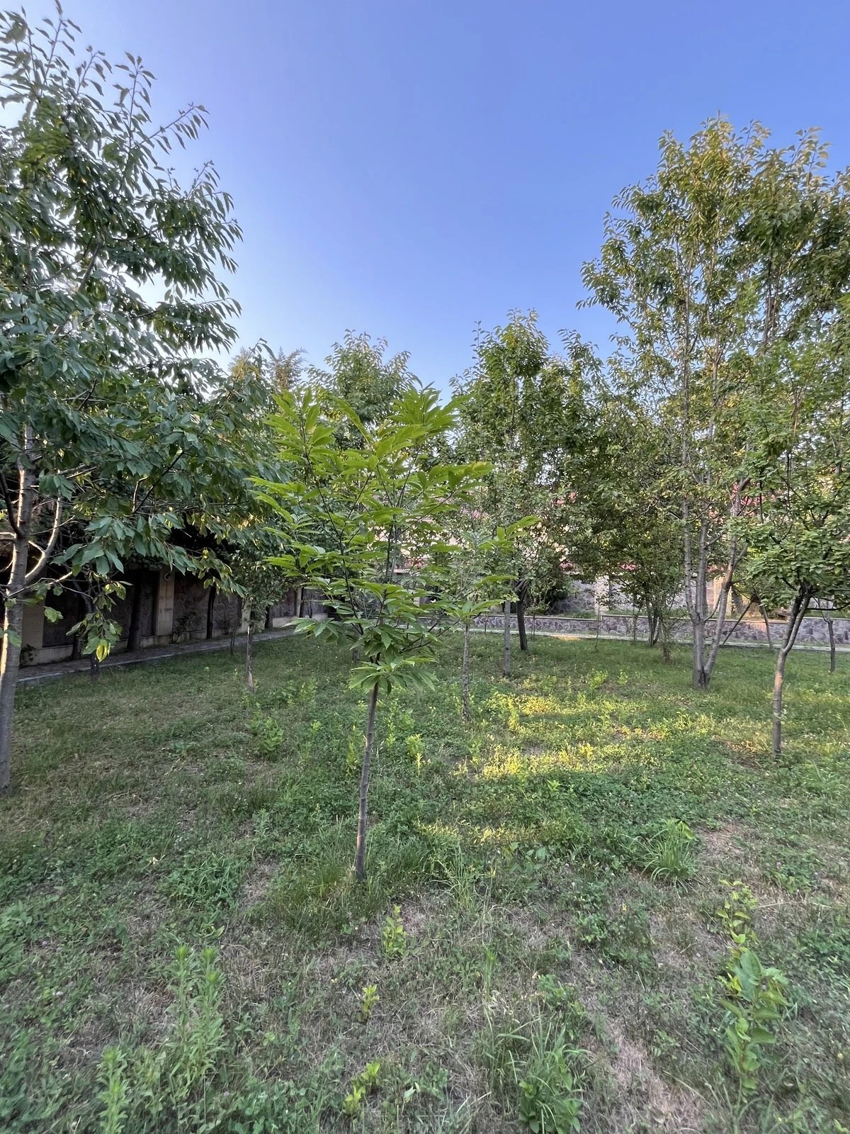 Satılır 10 otaqlı həyət evi 400 m²