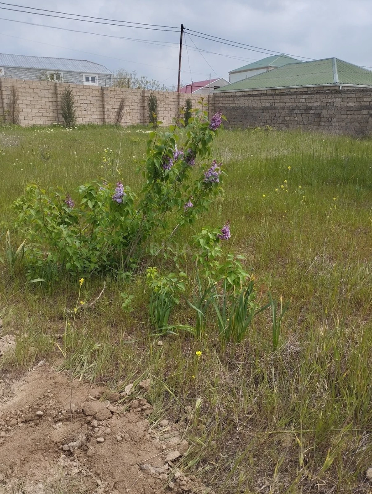 Satılır torpaq sahəsi 6 m²