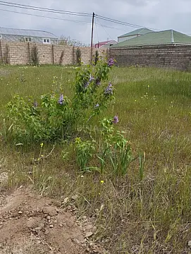 Satılır torpaq sahəsi 6 m² — Bakı 6.00 m²