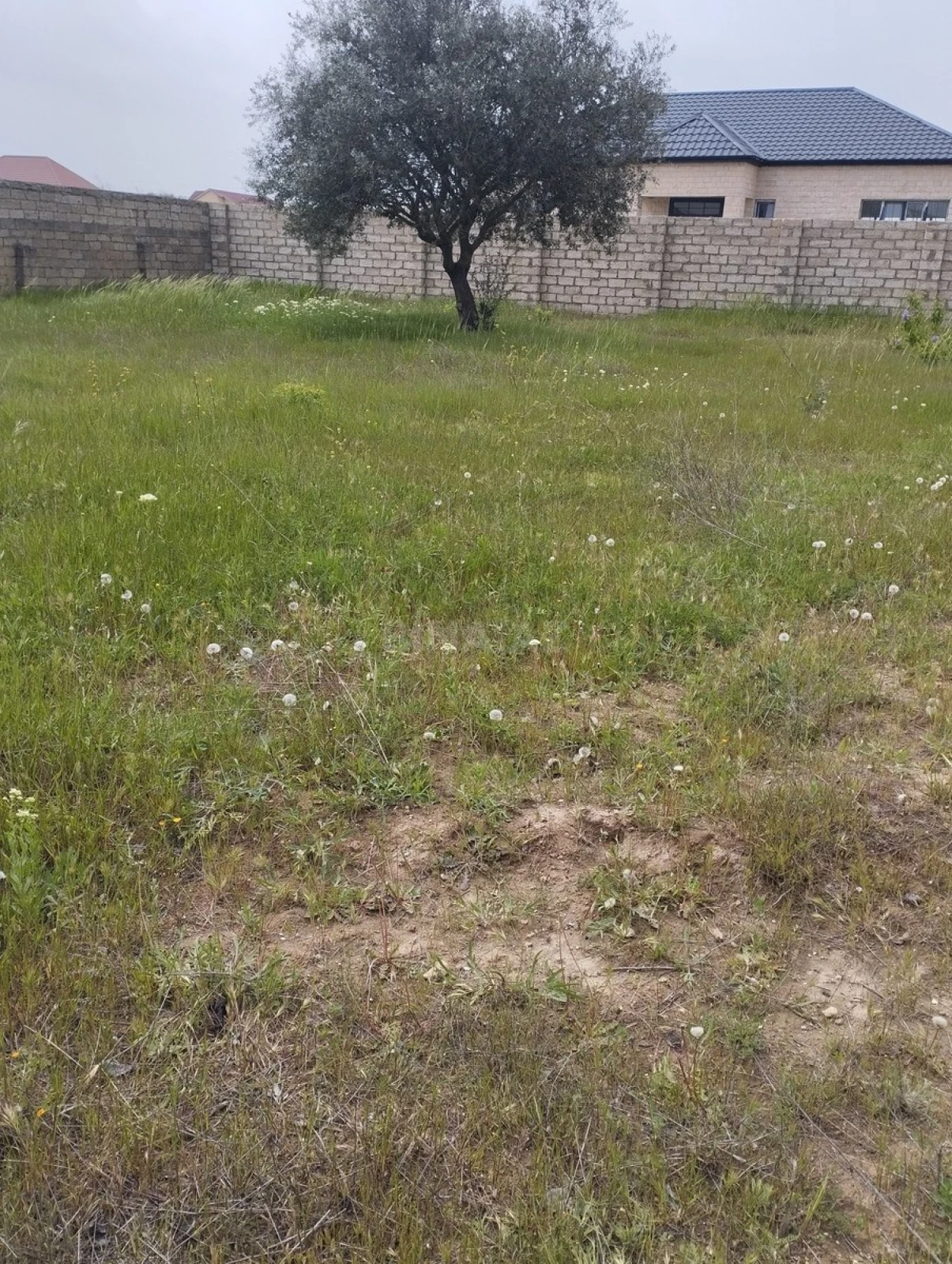 Satılır torpaq sahəsi 6 m²