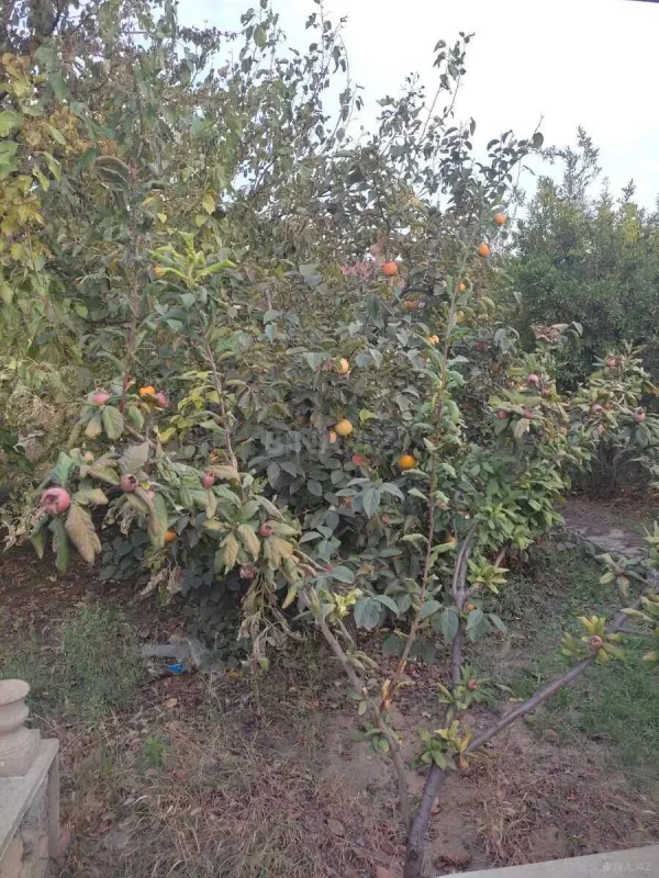 Satılır 5 otaqlı həyət evi 180 m²