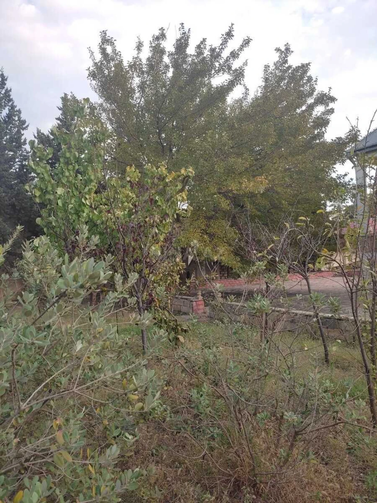 Satılır 5 otaqlı həyət evi 180 m²