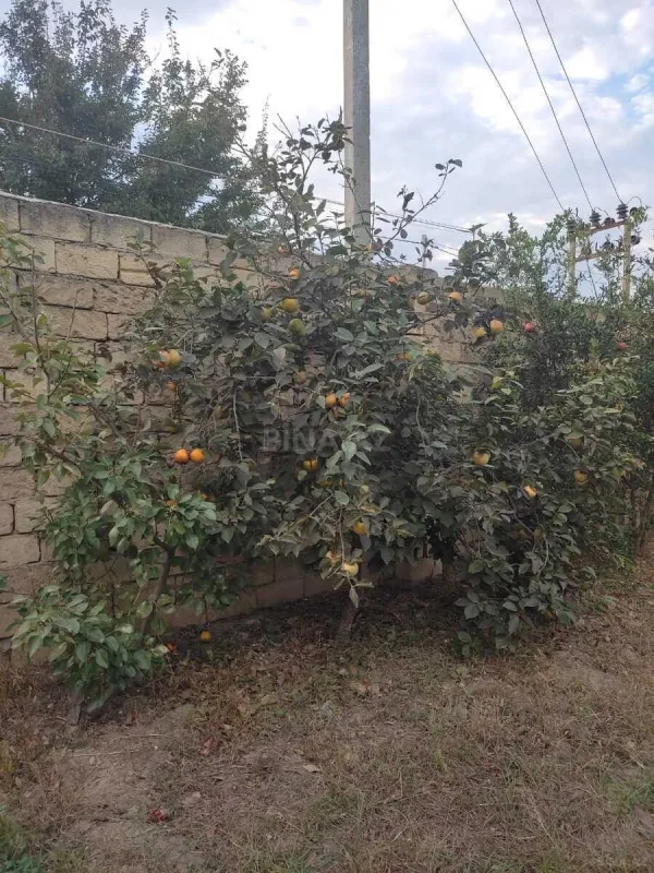 Satılır 5 otaqlı həyət evi 180 m²