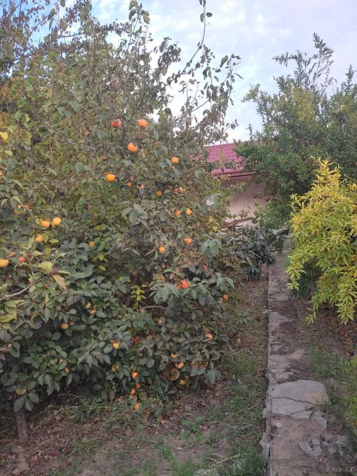 Satılır 5 otaqlı həyət evi 180 m²