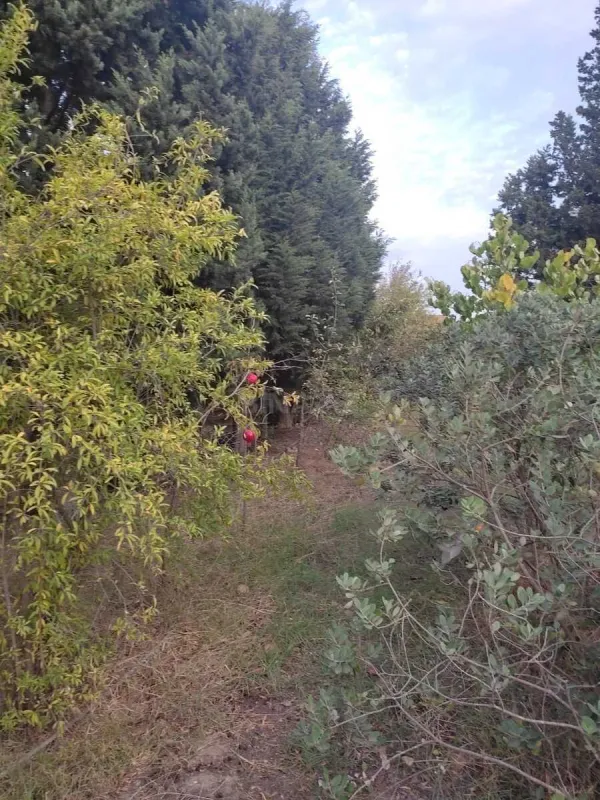 Satılır 5 otaqlı həyət evi 180 m²