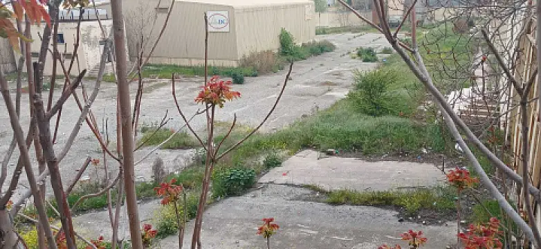 Satılır torpaq sahəsi 100 m²