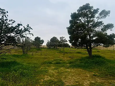 Satılır torpaq sahəsi 17 m² — Bakı, Binə 17.00 m²