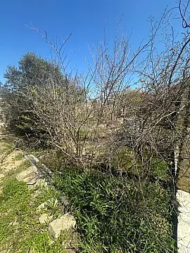Satılır torpaq sahəsi 6 m²