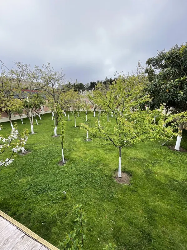 Kirayə verilir 6 otaqlı həyət evi 300 m²