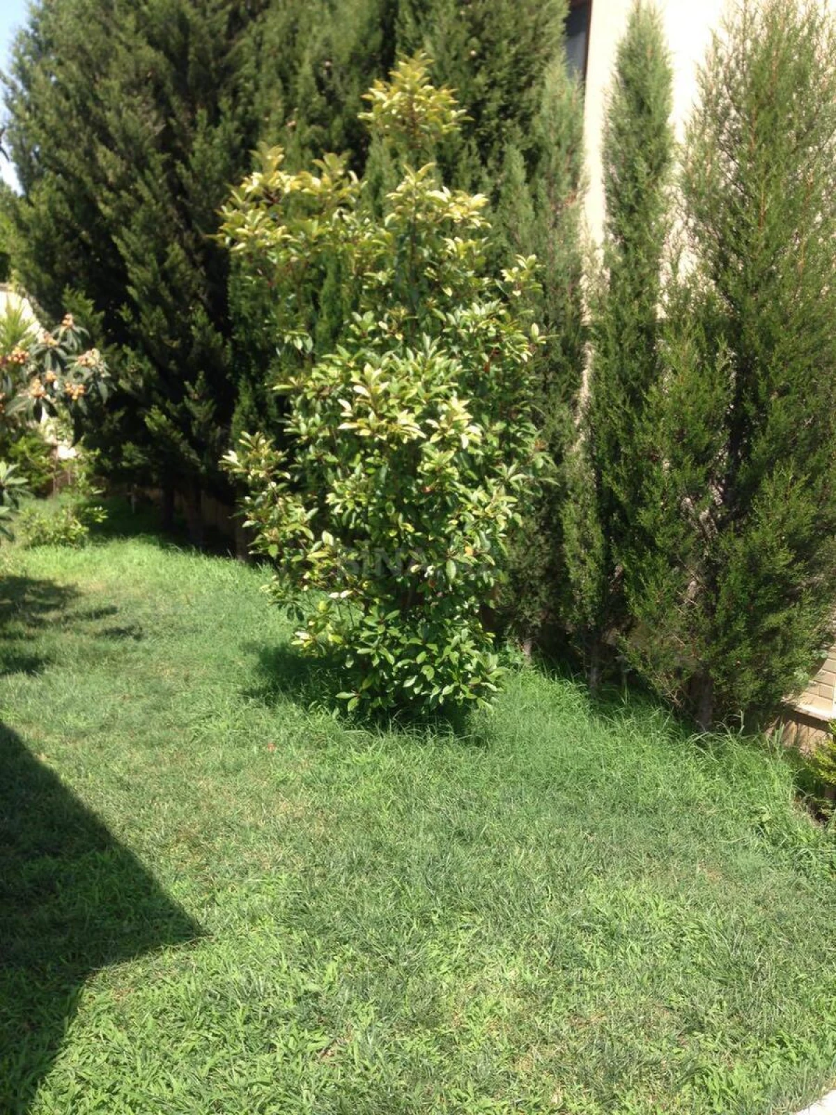 Kirayə verilir 5 otaqlı həyət evi 250 m²