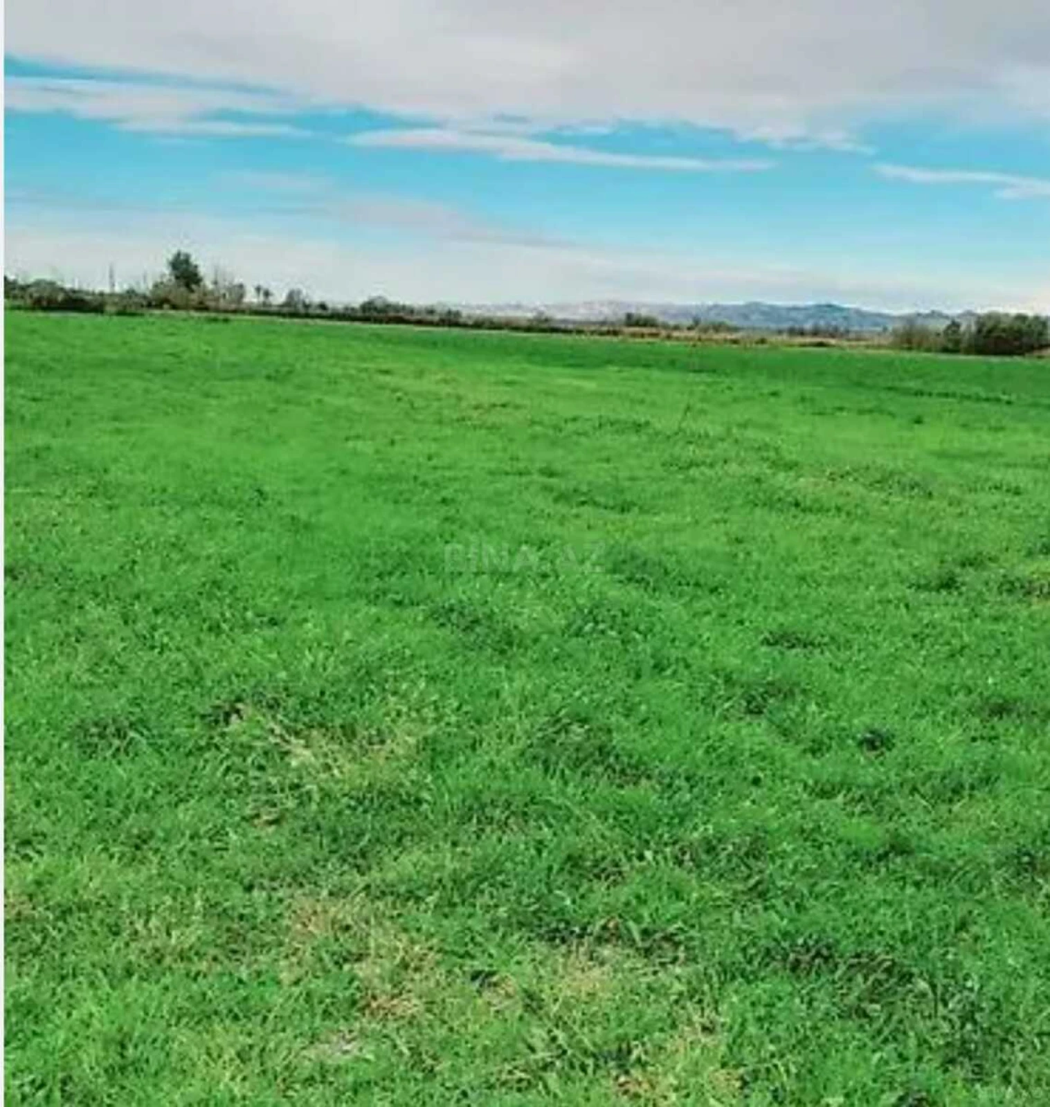 Satılır torpaq sahəsi 40 m²