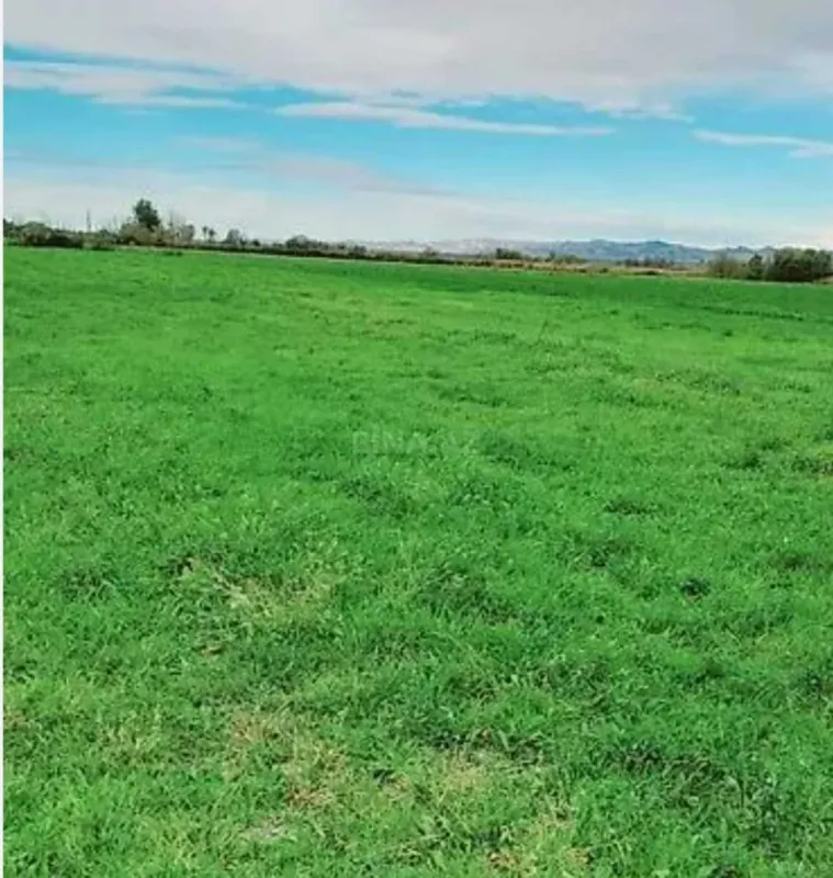 Satılır torpaq sahəsi 40 m²