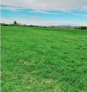 Satılır torpaq sahəsi 40 m² — Sumqayıt 40.00 m²