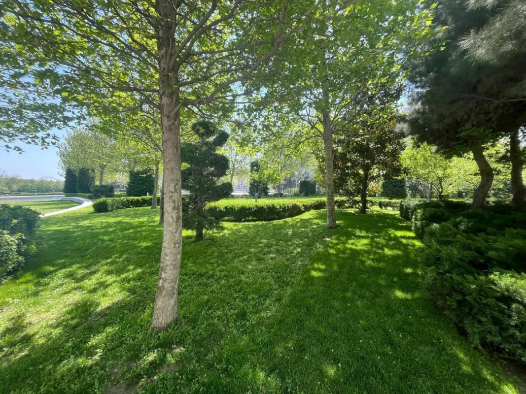 Satılır 3 otaqlı mənzil 100 m²