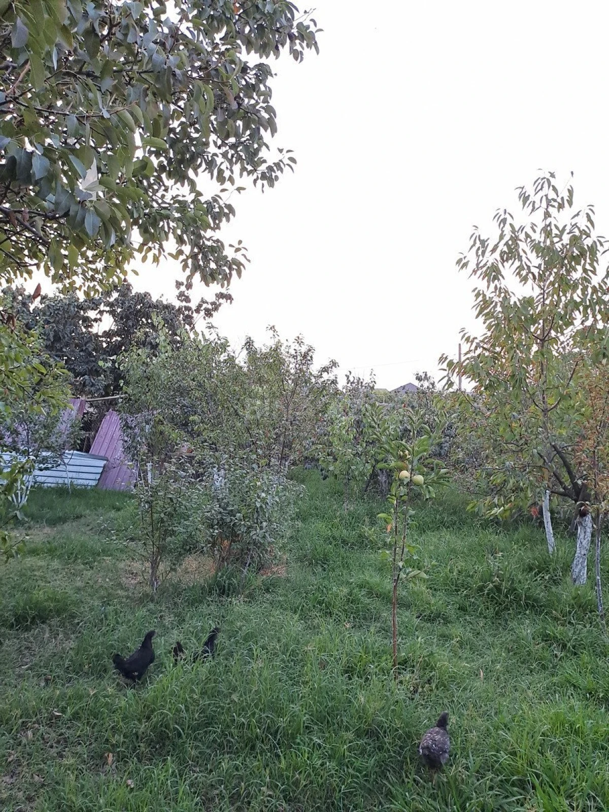 Satılır 3 otaqlı həyət evi 80 m²