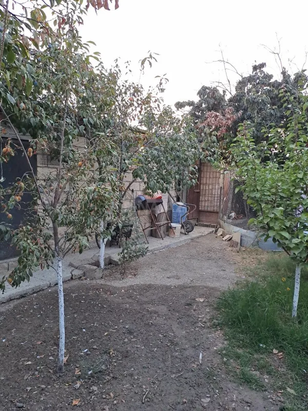Satılır 3 otaqlı həyət evi 80 m²