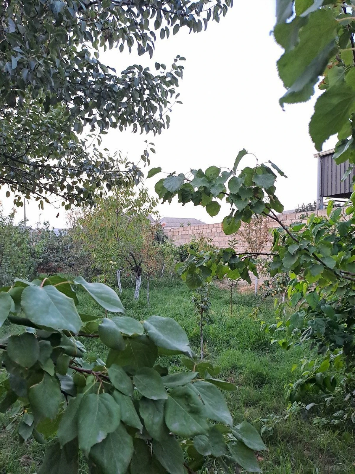 Satılır 3 otaqlı həyət evi 80 m²