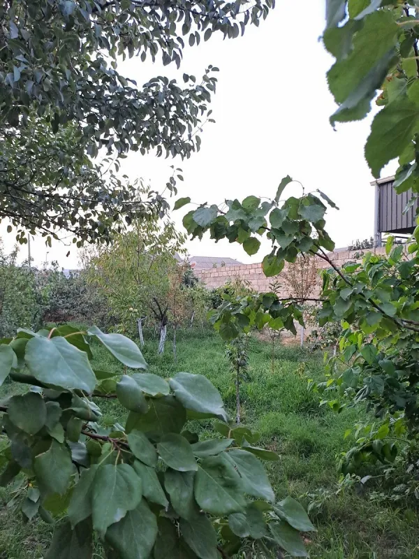 Satılır 3 otaqlı həyət evi 80 m²