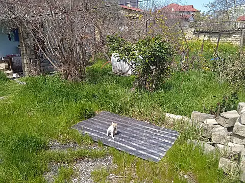 Satılır torpaq sahəsi 5.3 m² — Bakı, Badamdar 5.30 m²