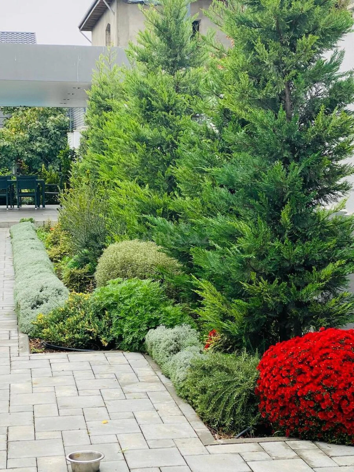 Kirayə verilir 5 otaqlı həyət evi 200 m²