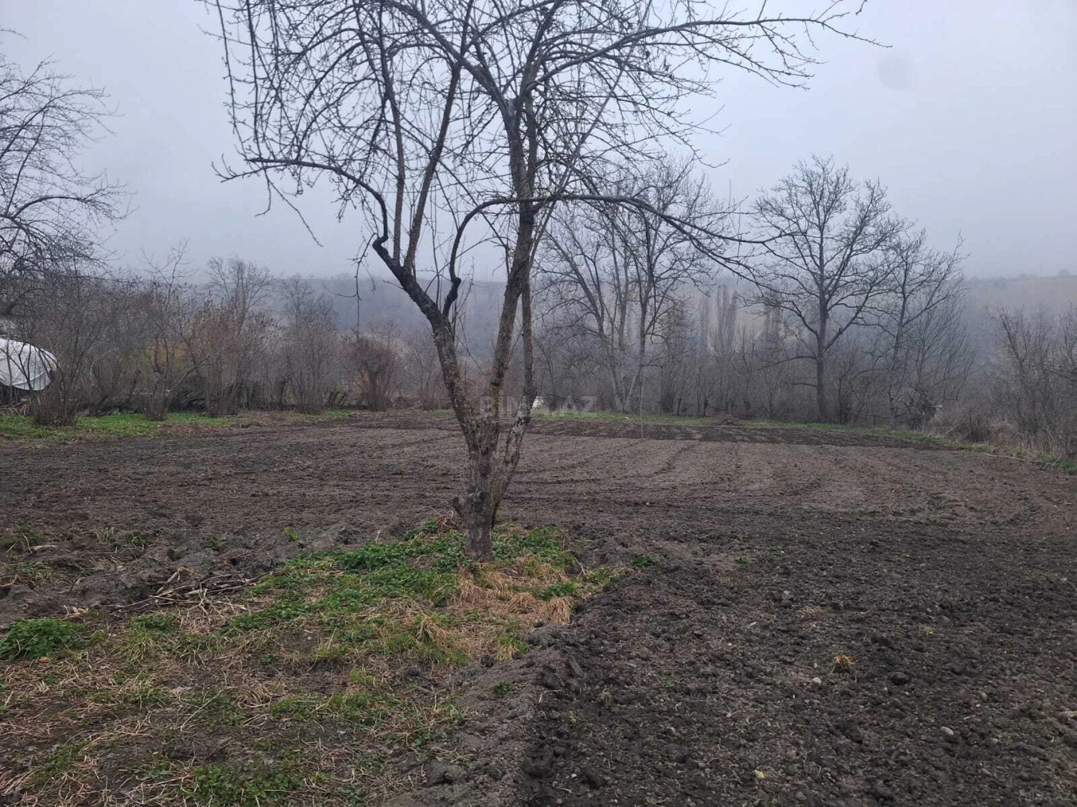 Satılır torpaq sahəsi 19 m²