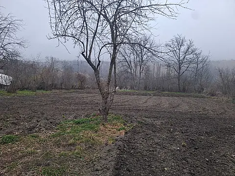 Satılır torpaq sahəsi 19 m²