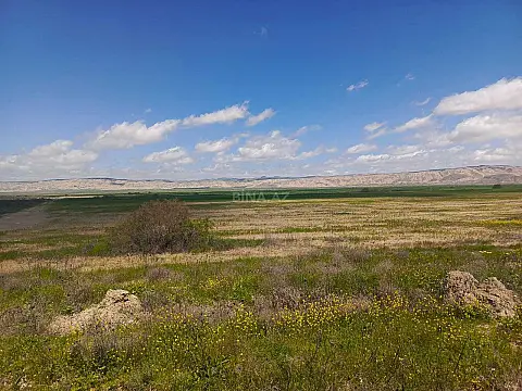 Satılır torpaq sahəsi 25000 m²