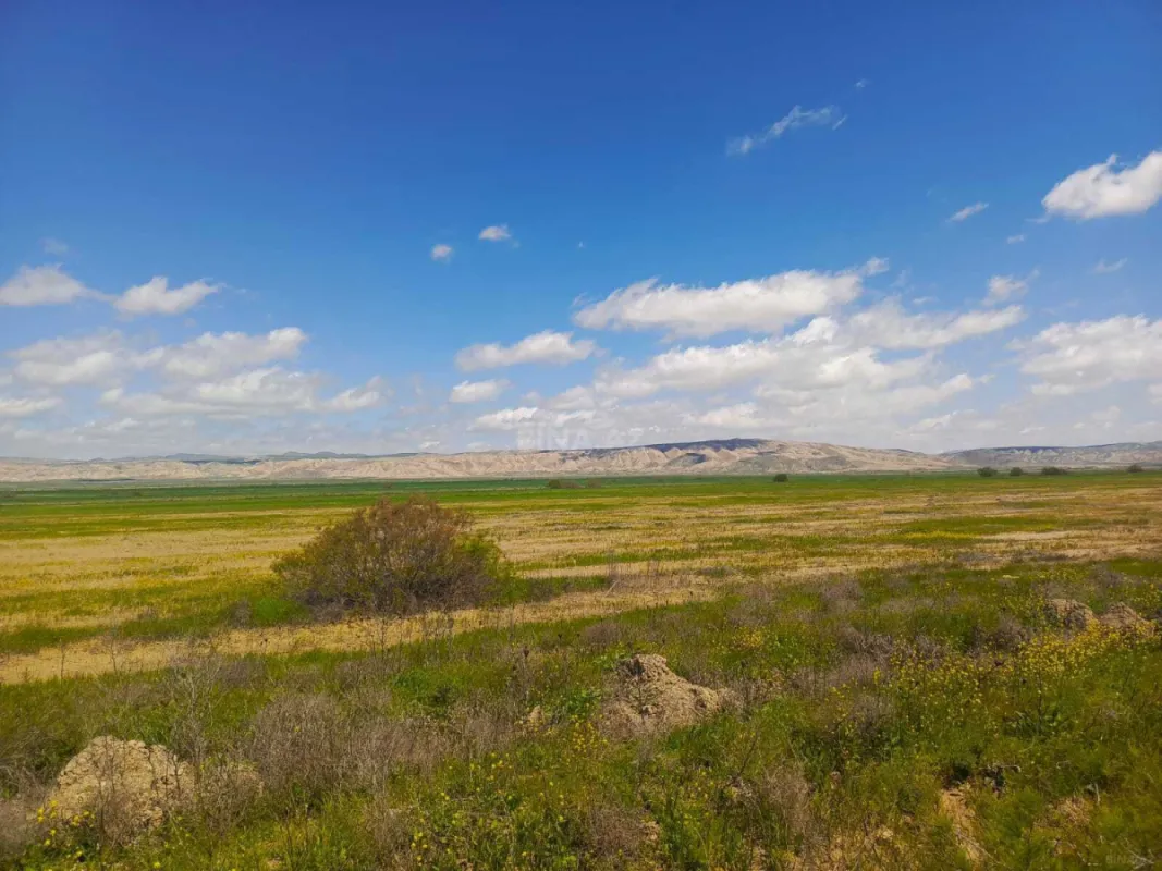 Satılır torpaq sahəsi 25000 m²