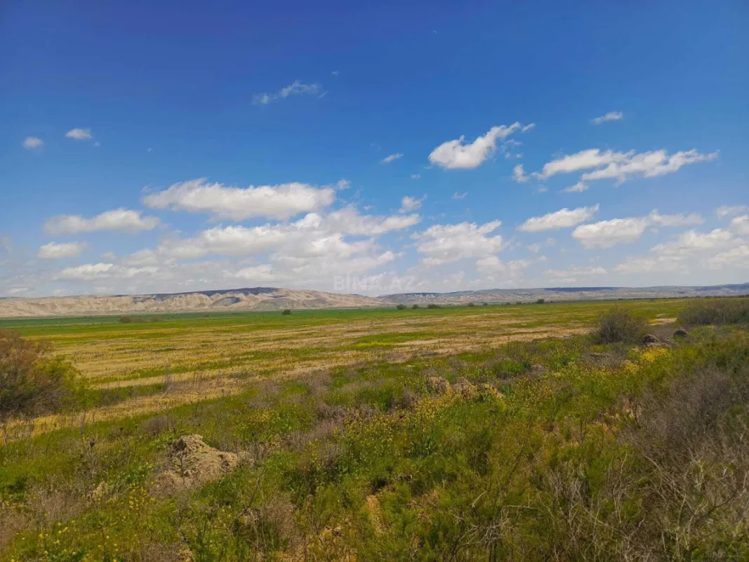 Satılır torpaq sahəsi 25000 m²