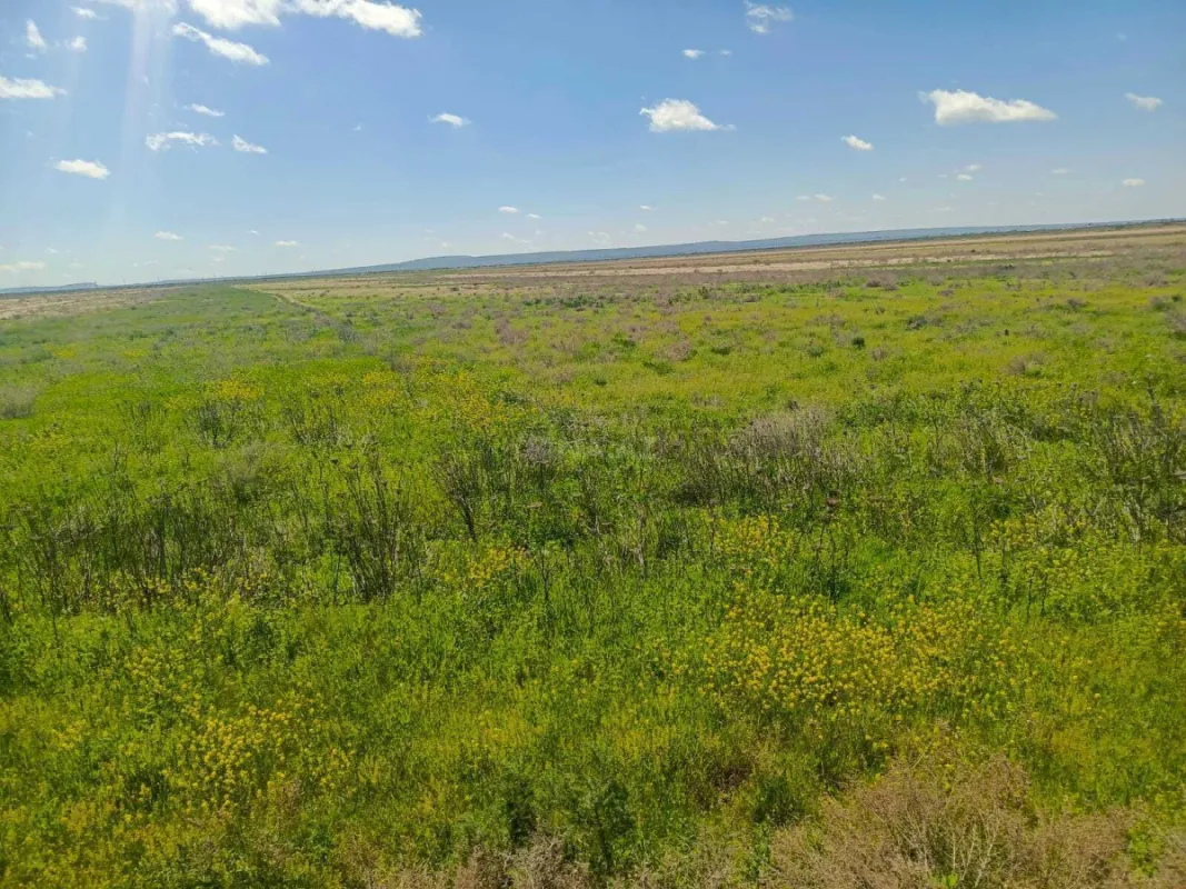 Satılır torpaq sahəsi 25000 m²