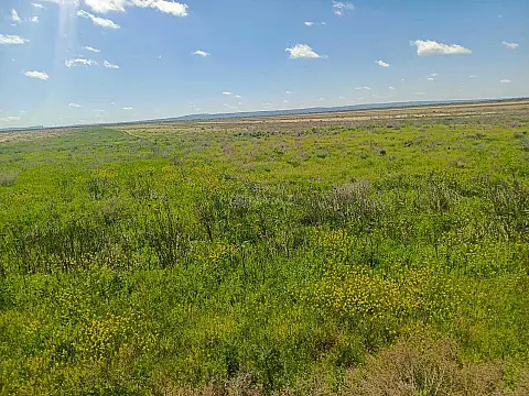 Satılır torpaq sahəsi 25000 m²