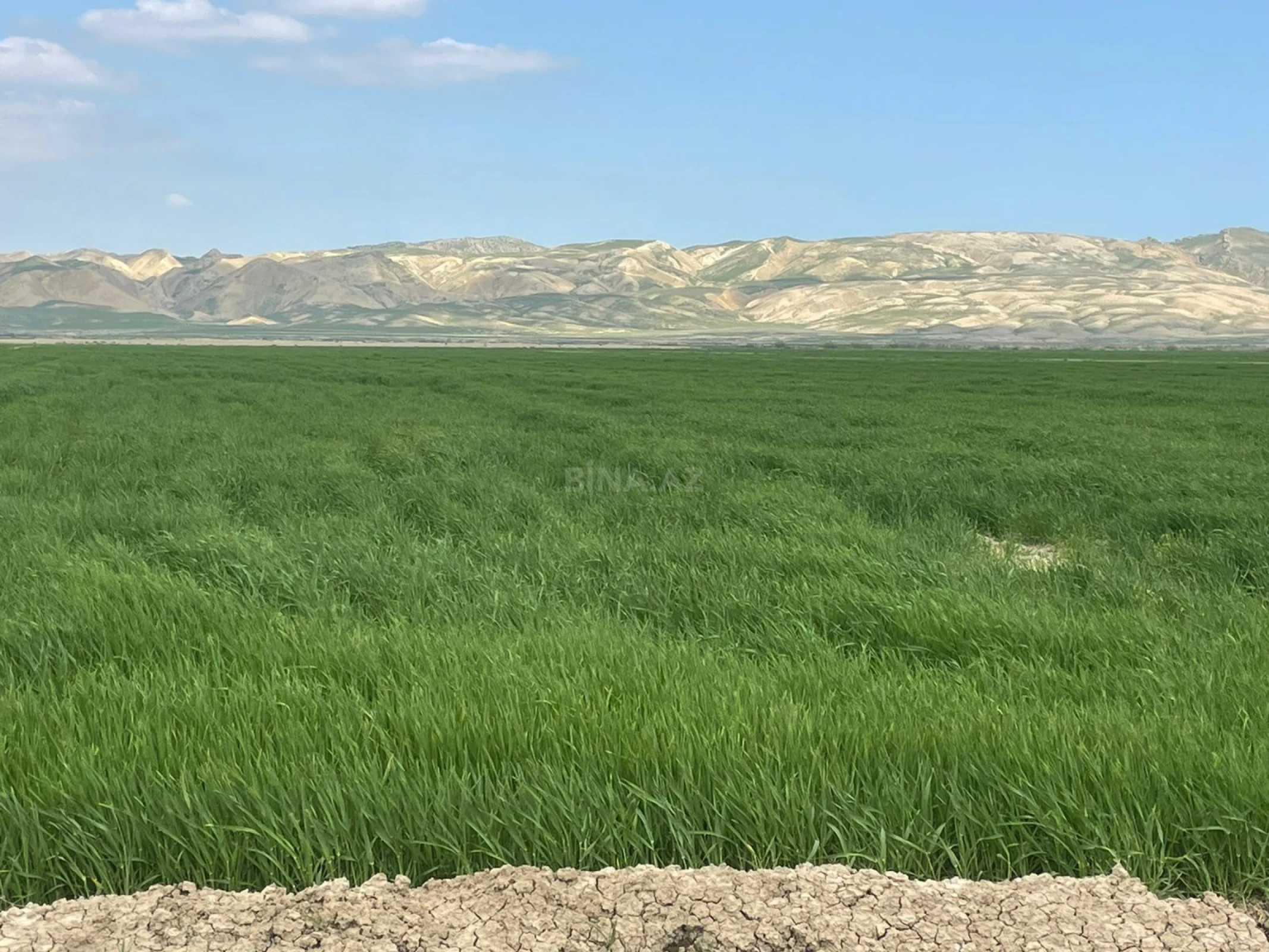Satılır torpaq sahəsi 25000 m²