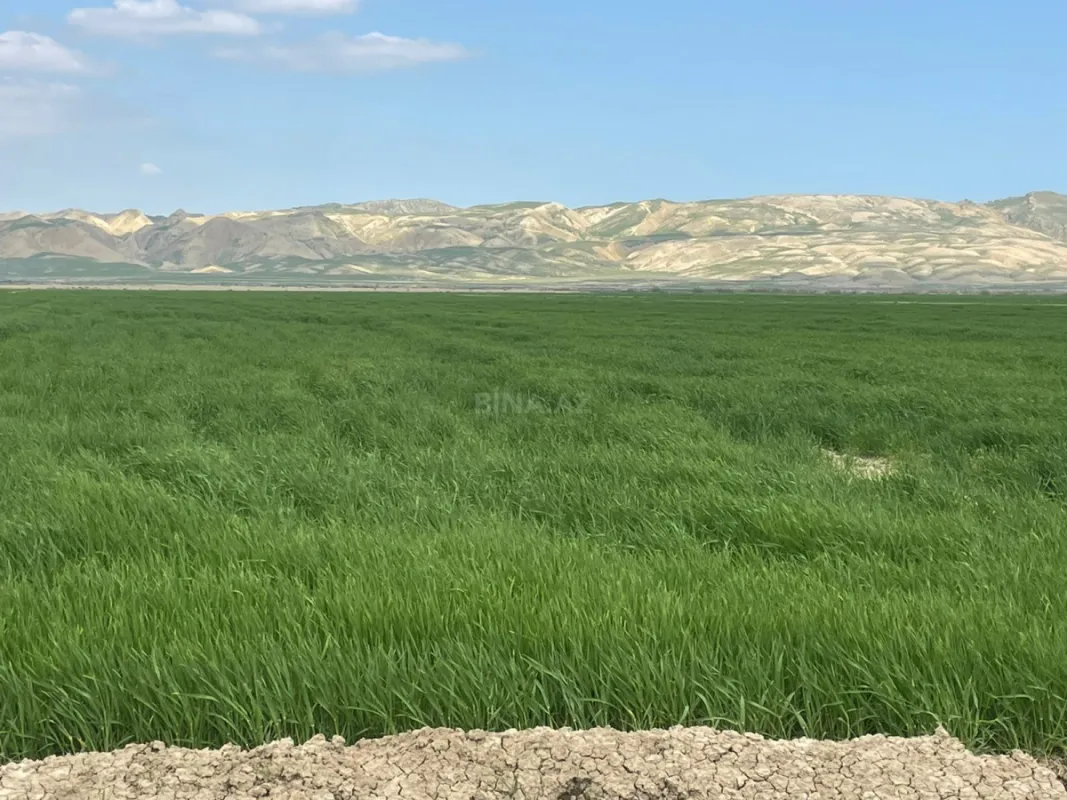 Satılır torpaq sahəsi 25000 m²