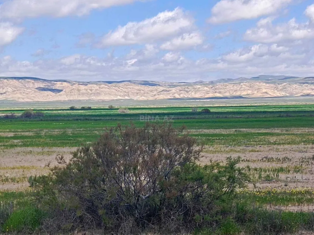 Satılır torpaq sahəsi 25000 m²