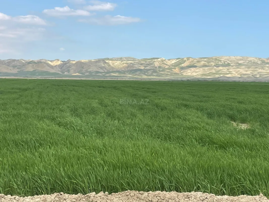 Satılır torpaq sahəsi 25000 m²