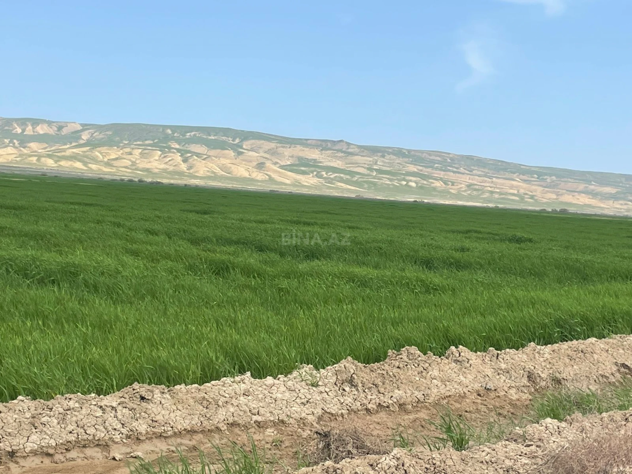 Satılır torpaq sahəsi 25000 m²