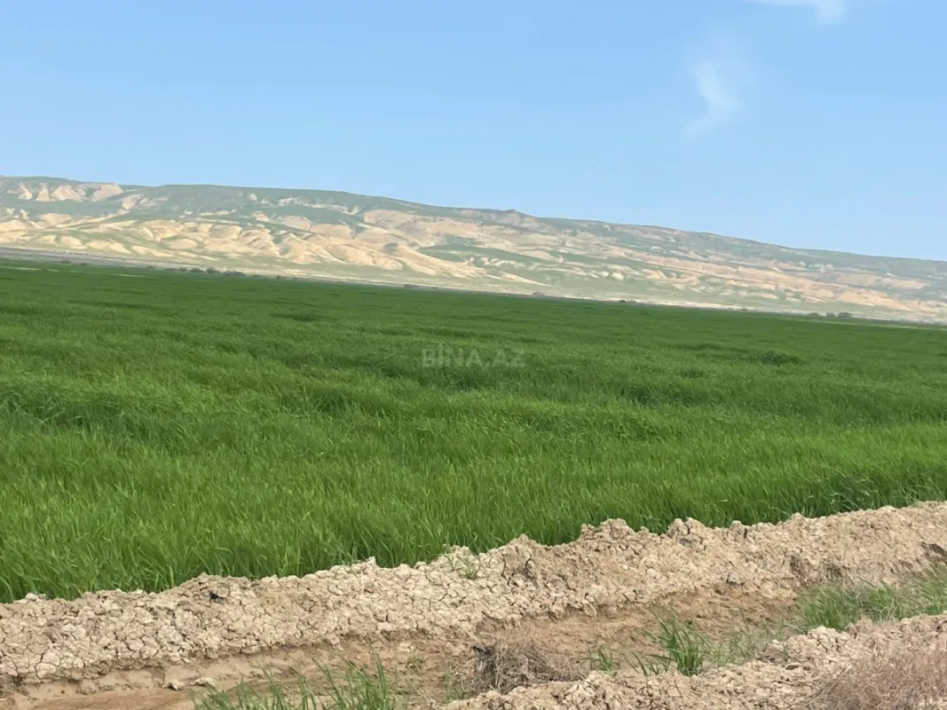 Satılır torpaq sahəsi 25000 m²