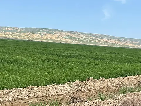 Satılır torpaq sahəsi 25000 m² — Hacıqabul 25000.00 m²