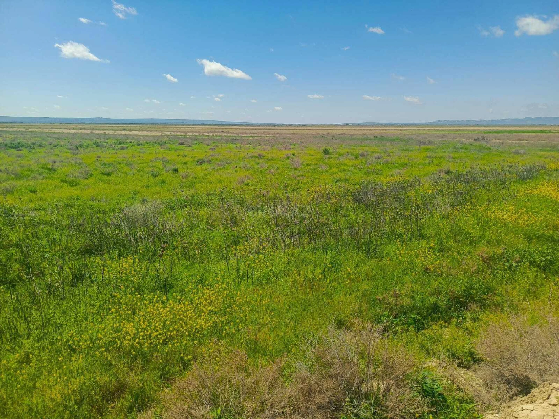 Satılır torpaq sahəsi 25000 m²