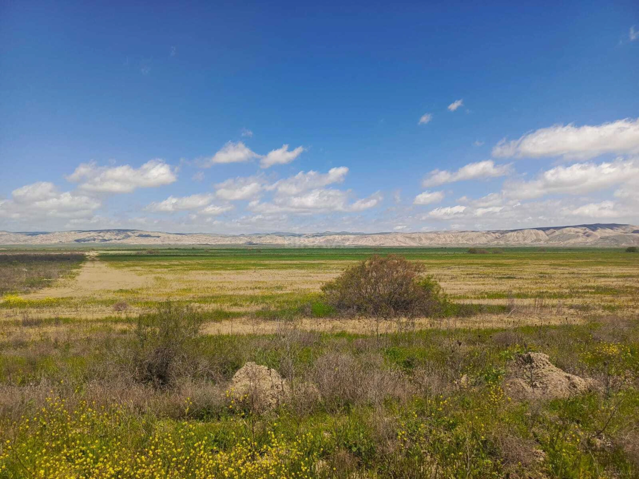 Satılır torpaq sahəsi 25000 m²
