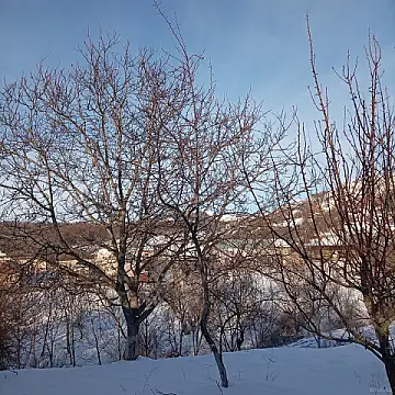 Satılır torpaq sahəsi 10 m²