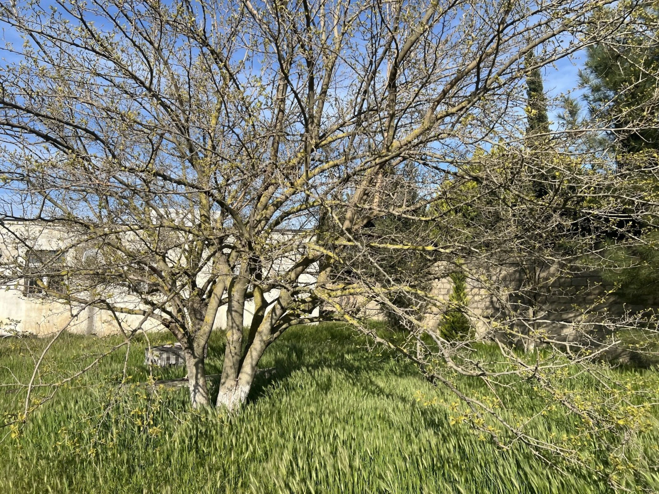 Satılır torpaq sahəsi 25 m²