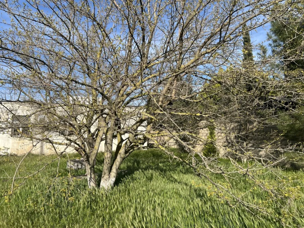 Satılır torpaq sahəsi 25 m²